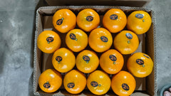 Fresh Mandarin