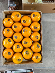 Fresh Mandarin
