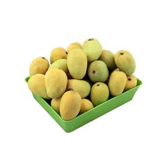 Anwar Ratol Mangoes